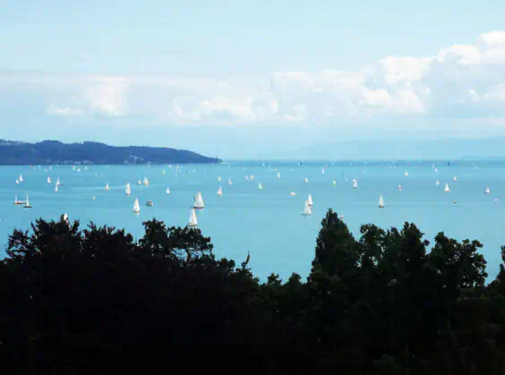 Regatta auf dem Bodensee